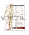 Understanding Pain Anatomical Chart